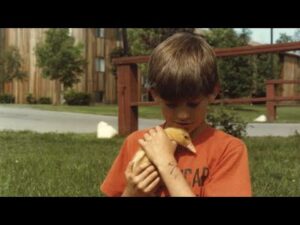 Thumbnail image of video titled "The Moment I Became an Environmentalist -- Daniel Mackler" by Daniel Mackler