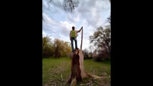 Thumbnail image of video titled "Fame is Fleeting — The Psychology of Being Famous and Losing Fame" by Daniel Mackler