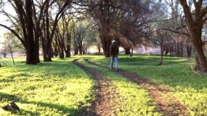 Thumbnail image of video titled "What is my Religion? — A Core Philosophy for a New Era" by Daniel Mackler