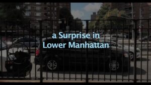 Thumbnail image of video titled "A Surprise in Lower Manhattan -- A Moment for Hope" by Daniel Mackler