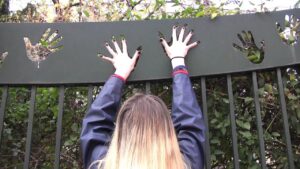 Thumbnail image of video titled "The Seeker's Ballad -- song for seekers and visionaries" by Daniel Mackler