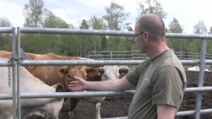 Thumbnail image of video titled "Trailer: "HEALING HOMES