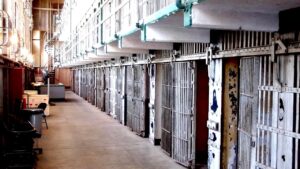 Thumbnail image of video titled "Death of a Childhood Friend" by Daniel Mackler